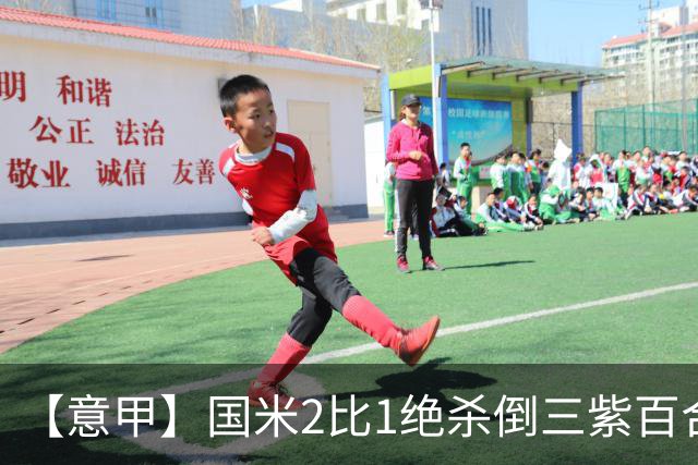 【意甲】国米2比1绝杀倒三紫百合，图拉姆绝平+造点