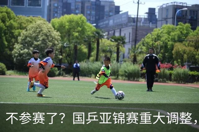 不参赛了？国乒亚锦赛重大调整，两位主力退出，日本队则全员出战