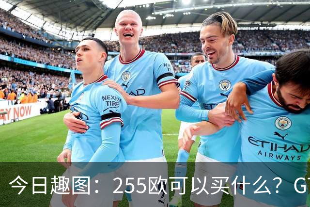 今日趣图：255欧可以买什么？GTA6，航母模型还是一箱养乐多？