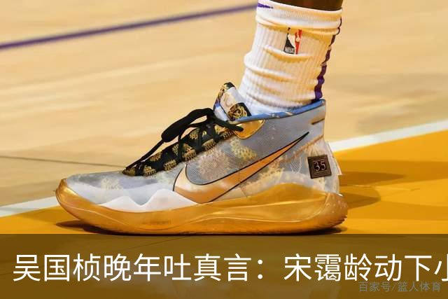 吴国桢晚年吐真言：宋霭龄动下小指头，宋美龄就得团团转
