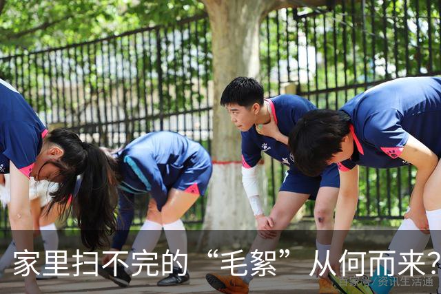 家里扫不完的“毛絮”从何而来？老保姆教你妙招，室内瞬间变干净