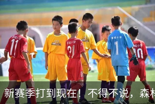 新赛季打到现在！不得不说，森林狼是今夏最大的冤大头