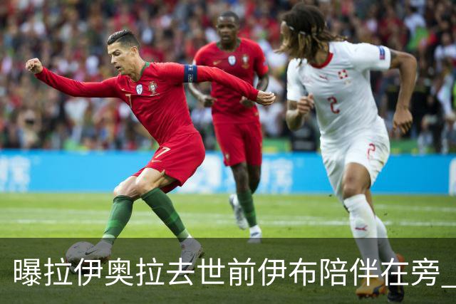 曝拉伊奥拉去世前伊布陪伴在旁 两人合作多年