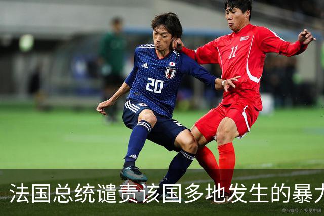 法国总统谴责该国多地发生的暴力事件
