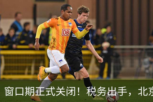 窗口期正式关闭！税务出手，北京青岛多名离岸信托富豪被催告