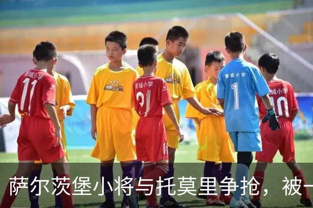 萨尔茨堡小将与托莫里争抢，被一碰撞上广告牌