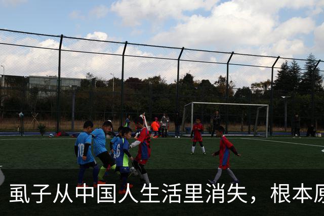 虱子从中国人生活里消失，根本原因不是爱干净，真相让人傻眼