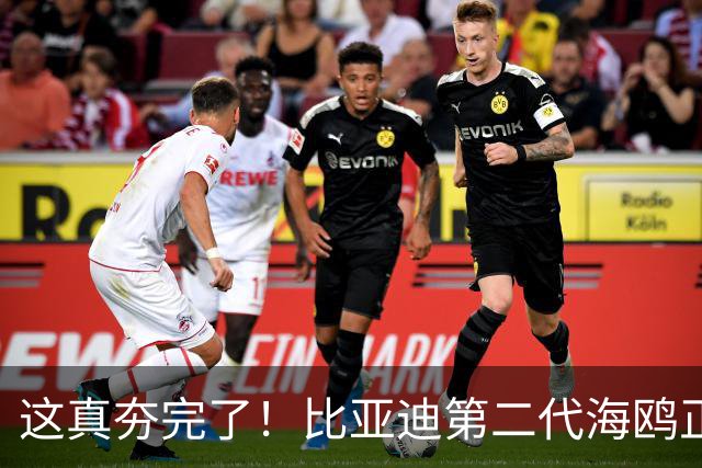 这真夯完了！比亚迪第二代海鸥正式公布发布价，6.29万元起