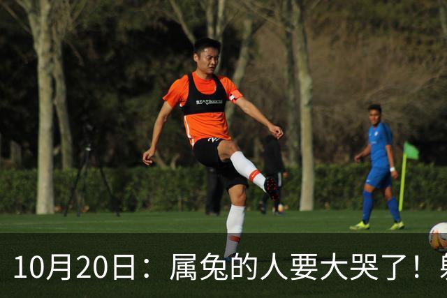 10月20日：属兔的人要大哭了！躲不掉！这都是老天爷的安排