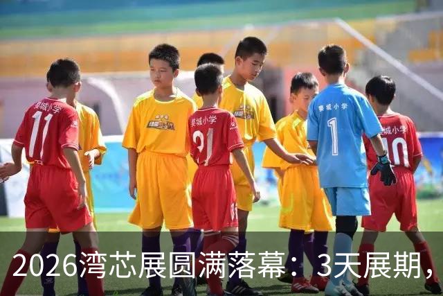 2026湾芯展圆满落幕：3天展期，近8万平方米展区迎来超15.67万人次专业观众