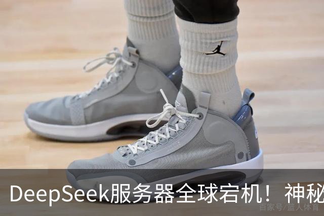 DeepSeek服务器全球宕机！神秘Harness账号同时现身